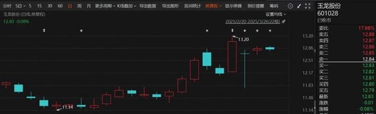 鼎点娱乐登录：明起停牌！百亿A股公司拟主动退市，或成2025年首单！